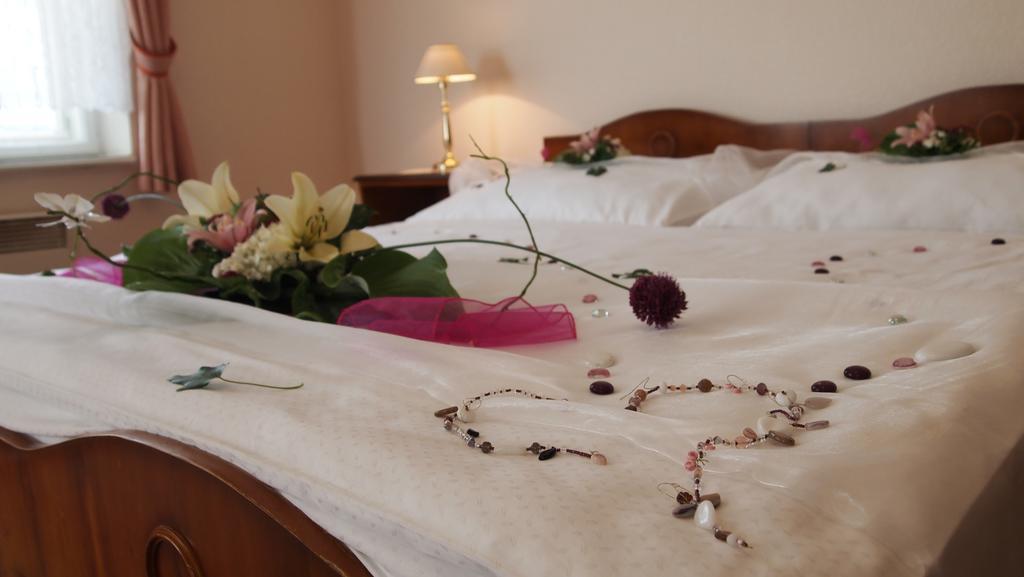 Pension Habermannova Vila Bludov  Room photo
